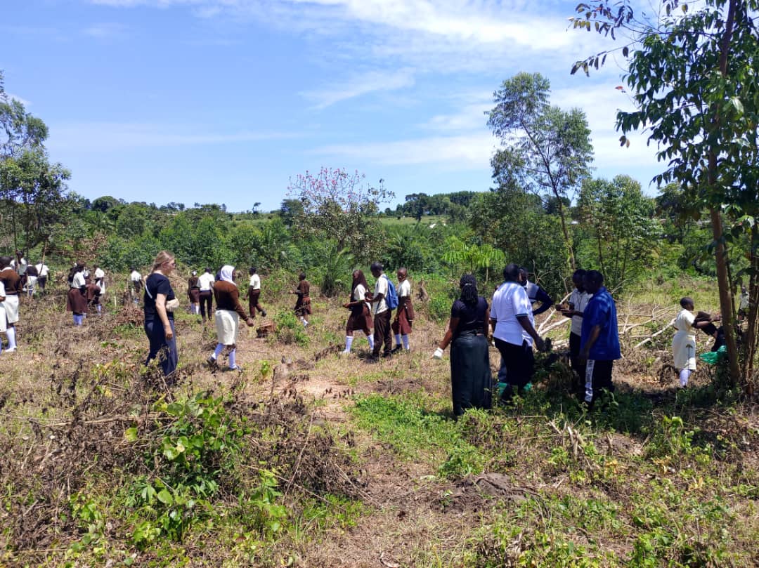 Tree Planting Activity 3